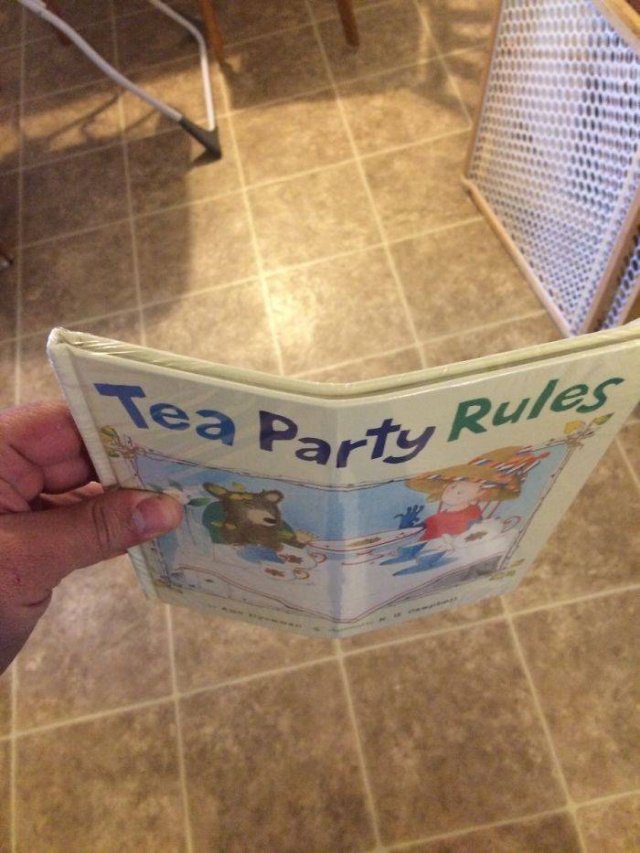 Book Lovers Struggles (40 pics)