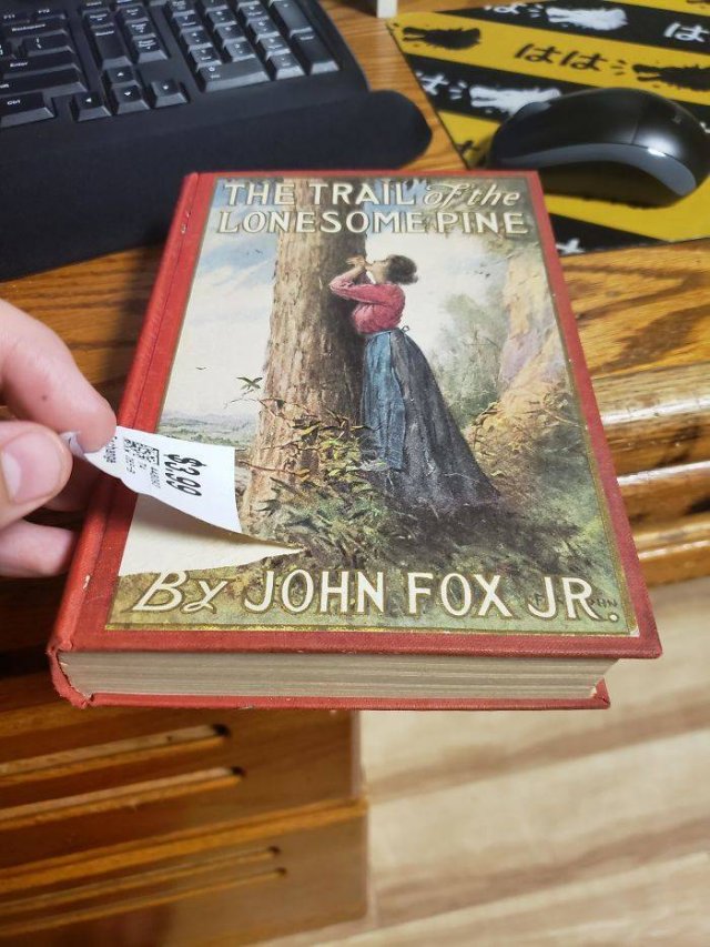 Book Lovers Struggles (40 pics)