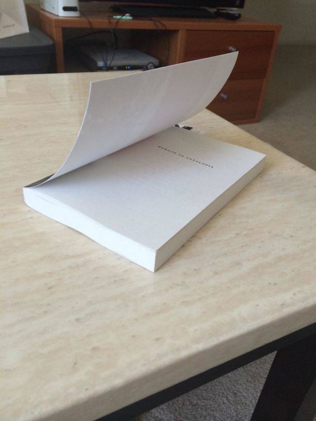 Book Lovers Struggles (40 pics)