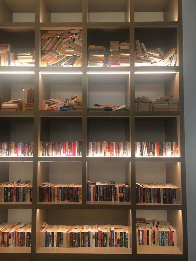 Book Lovers Struggles (40 pics)