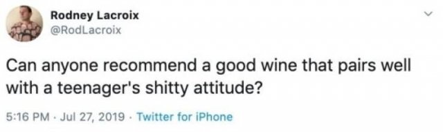Raising Teenagers Tweets (20 pics)