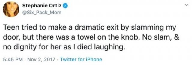 Raising Teenagers Tweets (20 pics)