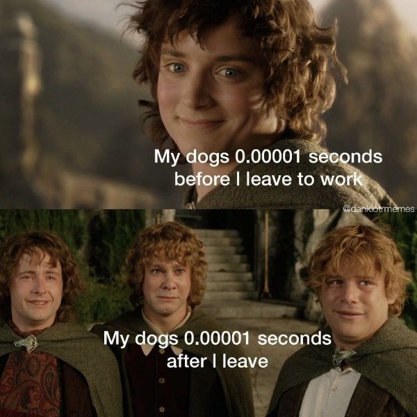 LOTR Memes (32 pics)
