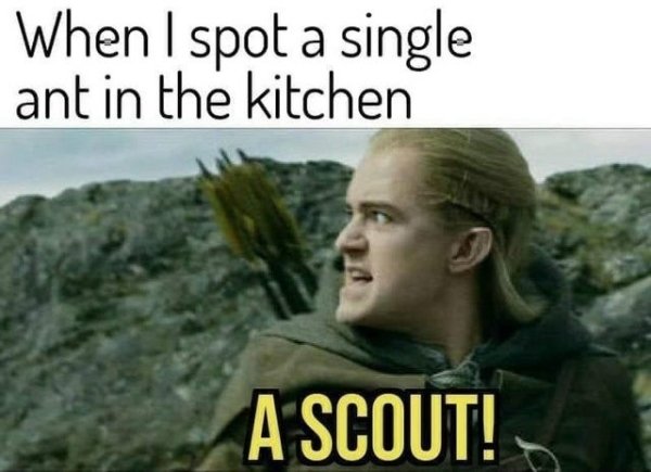 LOTR Memes (32 pics)