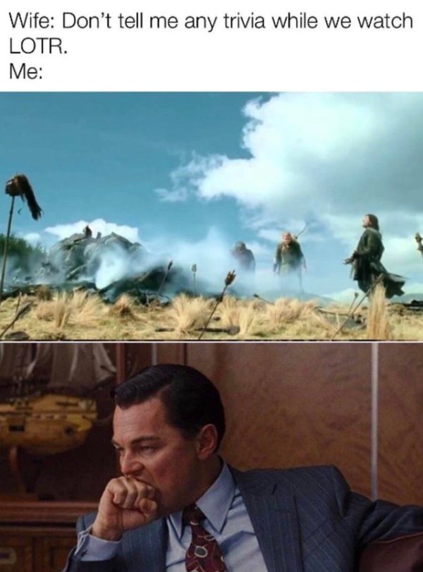 LOTR Memes (32 pics)