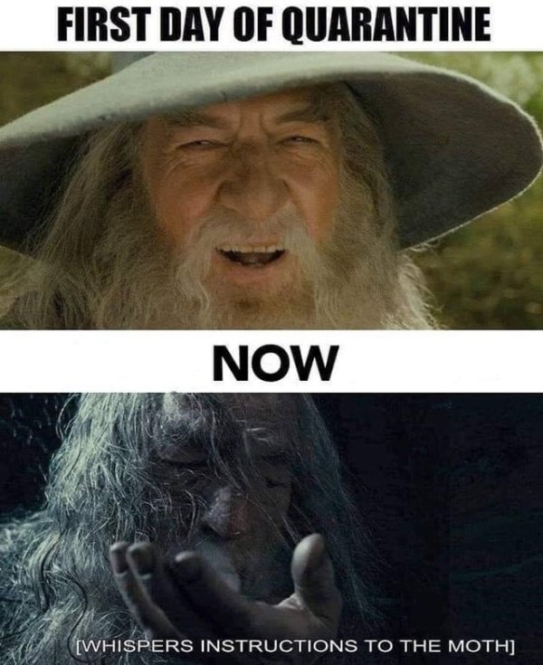 LOTR Memes (32 pics)