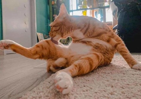 Perfection Is Possible (34 pics)