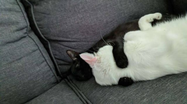 Acid Picdump. Part 1 (102 pics)