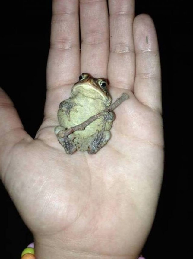 Acid Picdump. Part 1 (102 pics)