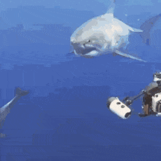 Acid Gifdump, May 19 (25 gifs)