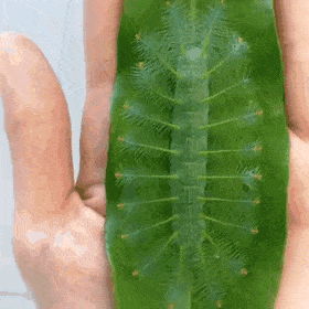 Acid Gifdump, May 19 (25 gifs)