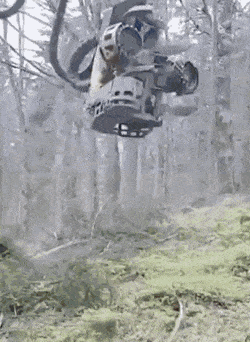 Acid Gifdump, May 19 (25 gifs)