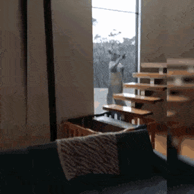 Acid Gifdump, May 19 (25 gifs)
