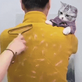Acid Gifdump, May 19 (25 gifs)