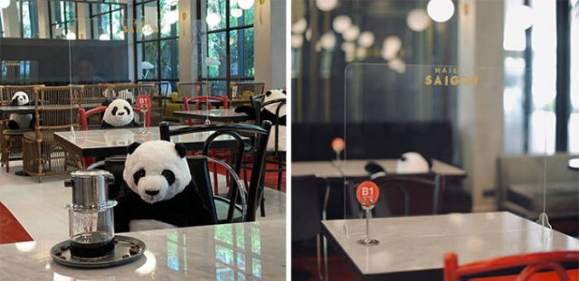 Quarantine Loosening In Different Countries (32 pics)