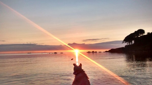 Right Moment (35 pics)