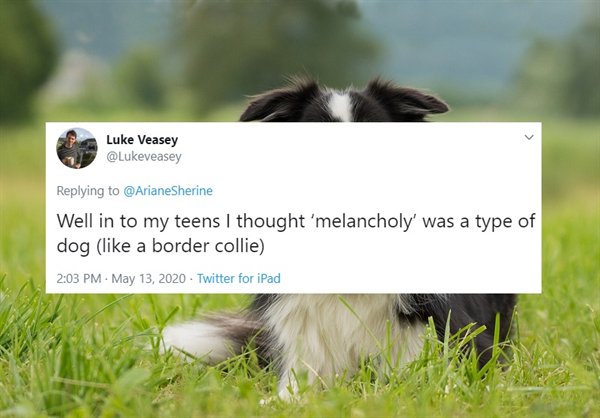 We All Were So Wrong (23 pics)