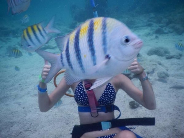 Right Moment (35 pics)