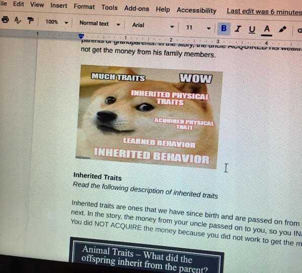 Everything About Teachers And Pupils (31 pics) Everything About Teachers And Pupils (31 pics)