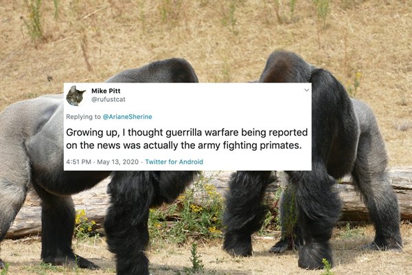 We All Were So Wrong (23 pics)