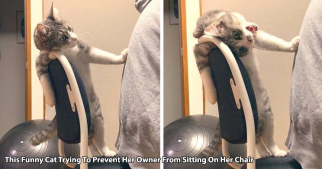 Acid Picdump. Part 2 (98 pics) Acid Picdump. Part 2 (98 pics)