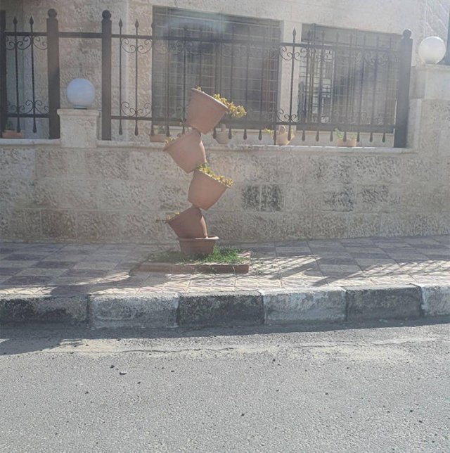 Acid Picdump. Part 2 (98 pics)