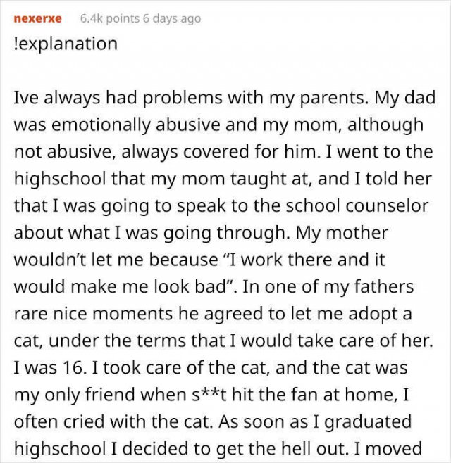 A Story About College Student And His Cat (15 pics)