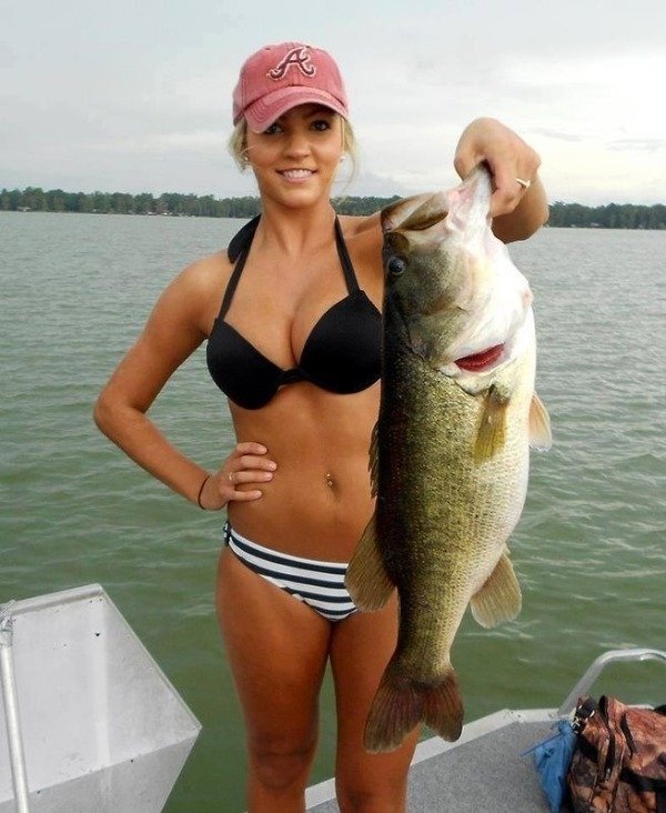 Bikini Girls (81 pics)