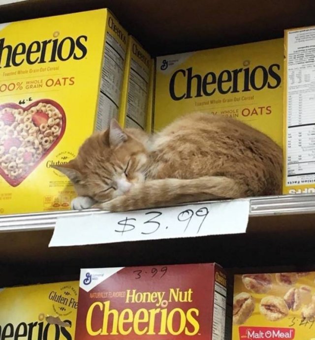 Acid Picdump. Part 2 (95 pics)