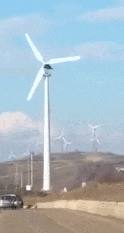 Acid Gifdump, May 22 (25 gifs)
