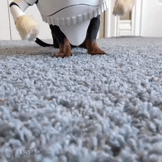 Acid Gifdump, May 22 (25 gifs)