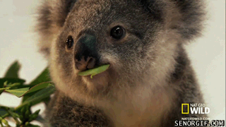 Acid Gifdump, May 22 (25 gifs)