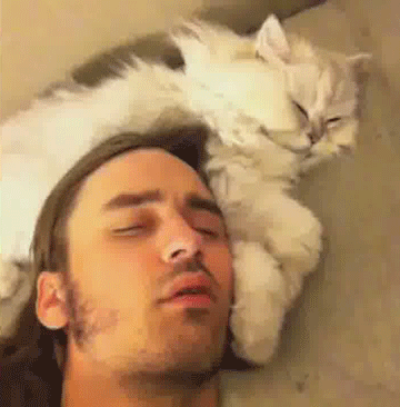 Acid Gifdump, May 22 (25 gifs)