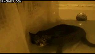 Acid Gifdump, May 22 (25 gifs)
