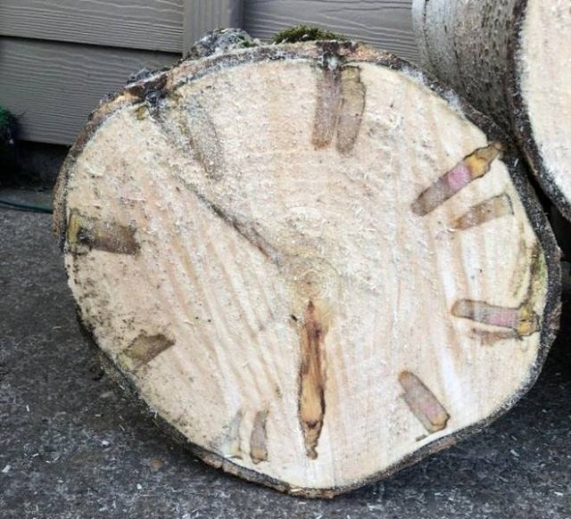 Look Twice (18 pics)