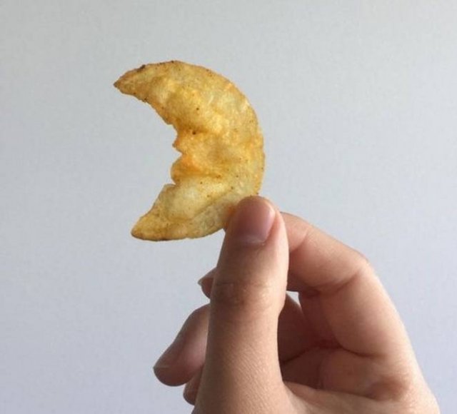 Look Twice (18 pics)