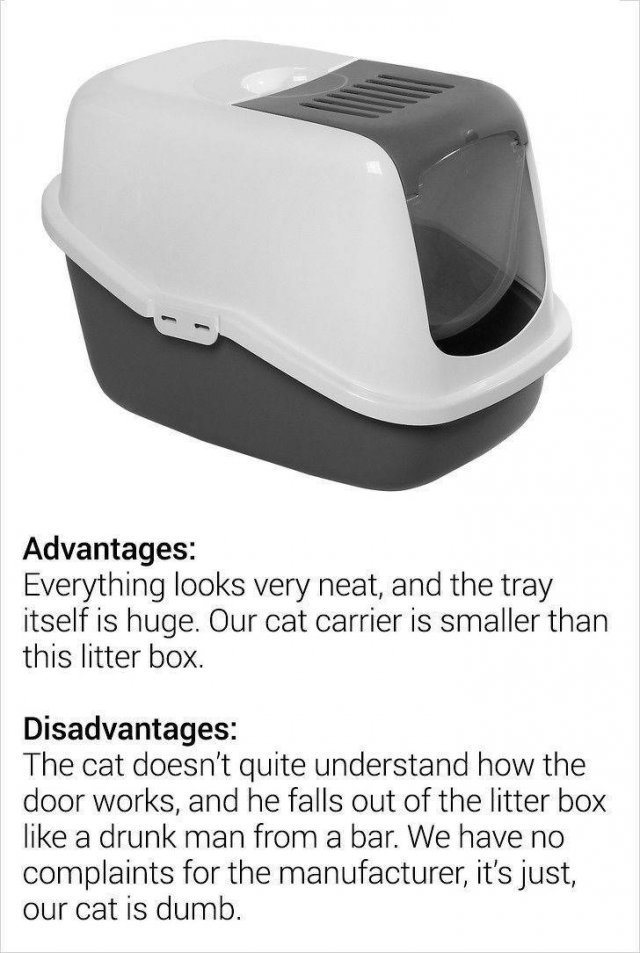 Online Reviews (15 pics)