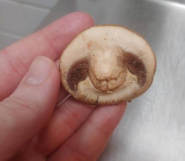 Look Twice (18 pics)