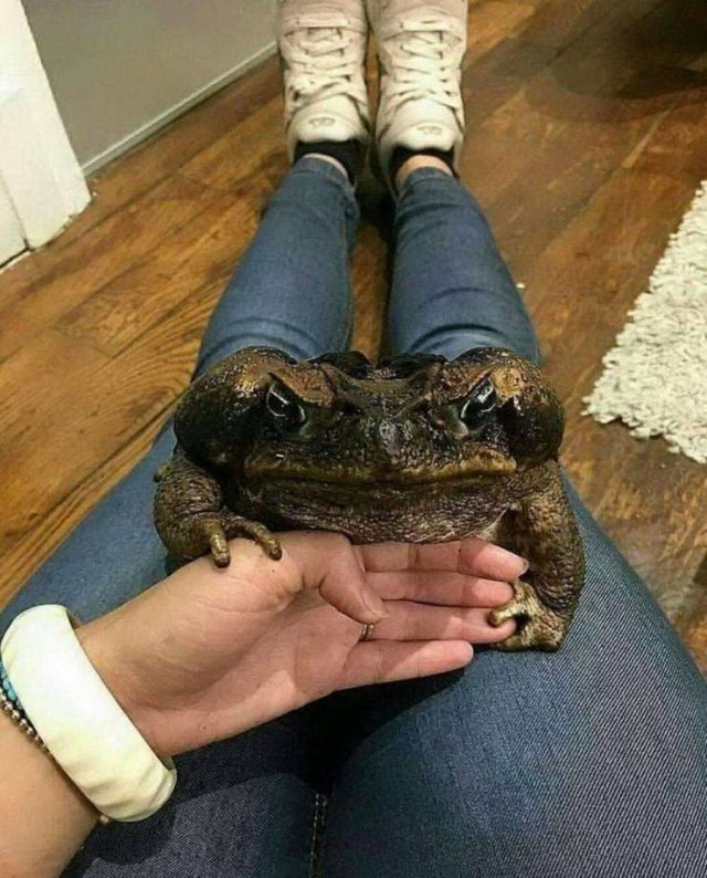 Explanation Needed (52 pics)