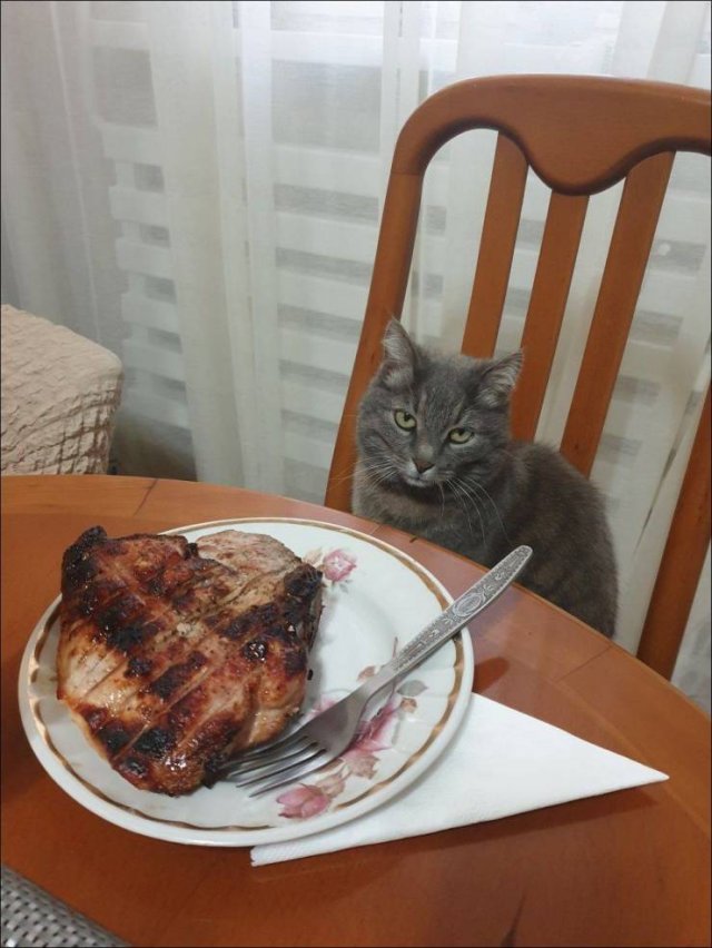 Acid Picdump. Part 1 (96 pics)