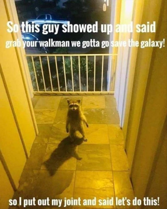 Acid Picdump. Part 2 (96 pics)