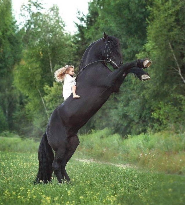 Acid Picdump. Part 1 (96 pics)