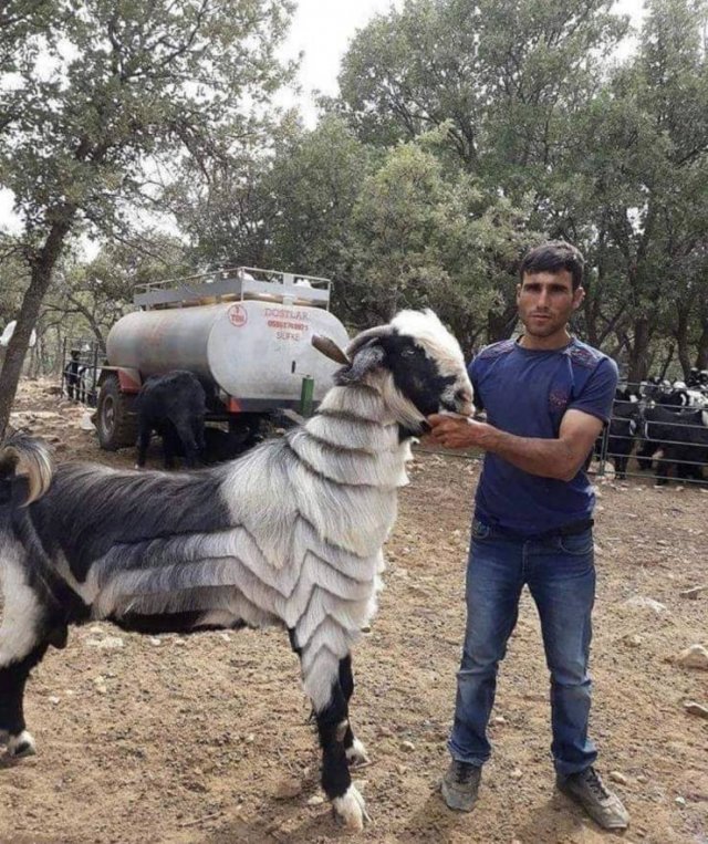 Acid Picdump. Part 2 (96 pics)