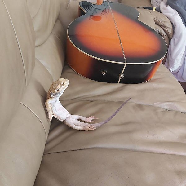 Acid Picdump. Part 2 (96 pics)