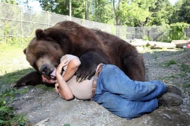 Acid Picdump. Part 1 (96 pics)