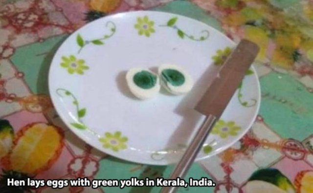 Acid Picdump. Part 2 (96 pics)