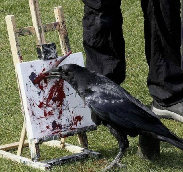Acid Picdump. Part 1 (112 pics)