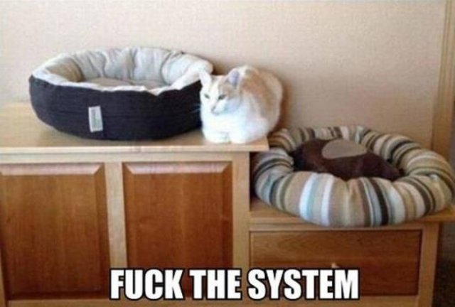 Acid Picdump. Part 2 (96 pics)