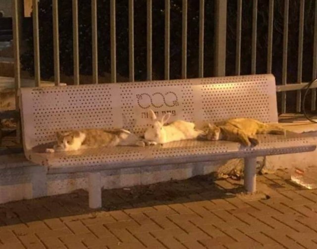 Acid Picdump. Part 1 (96 pics)