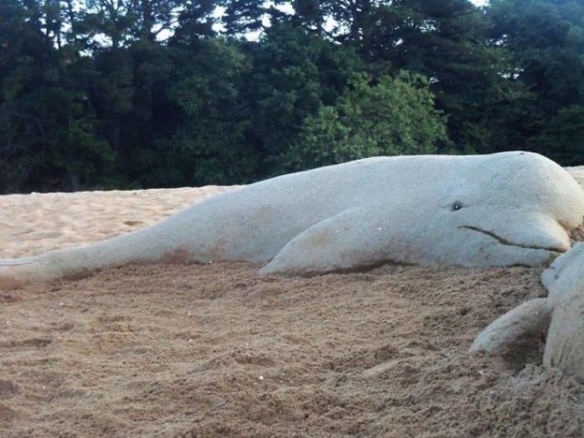Sand Sculptures By Andoni Bastarrika (38 pics)